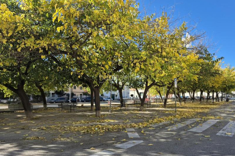 Casa local esquinero de 95 m2 edificable bajos más 3 pisos en Terrassa