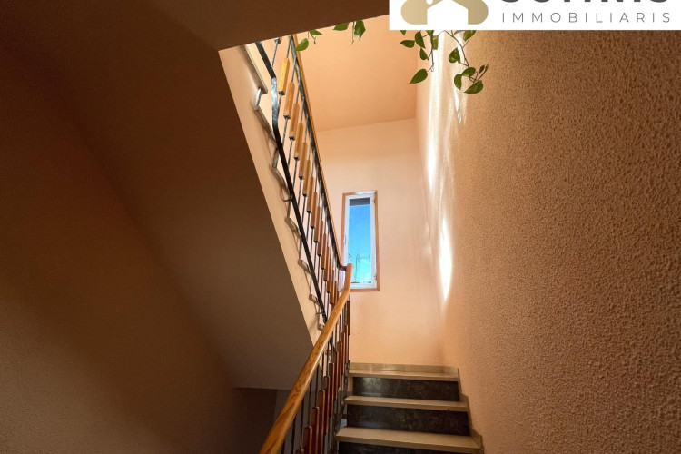 Les Arenes - La Gru00EDpia  Can Montllor