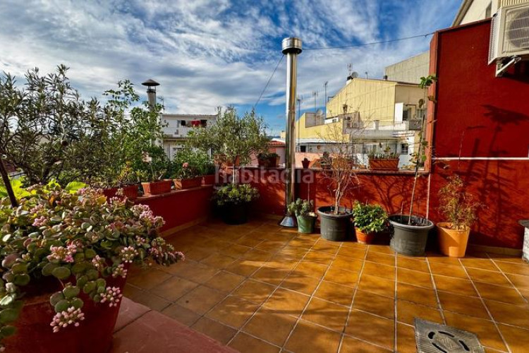 Casa en la selva 2 en Can Palet Terrassa