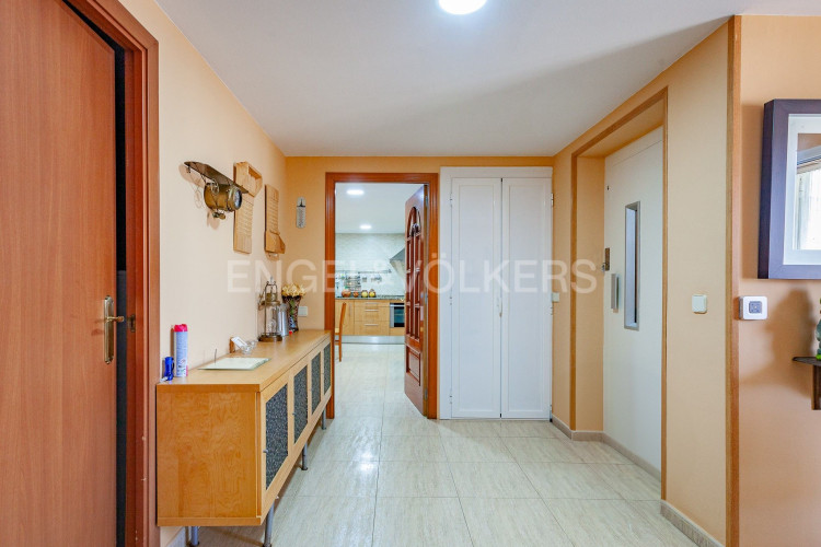 Can Palet de Vista Alegre