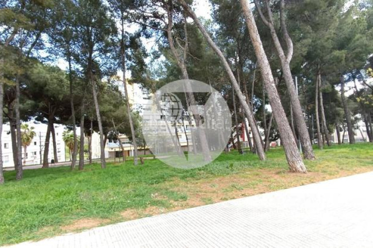 Planta baja bonita planta baja de 2 hab, terraza con barbacoa y plaza de aparcamiento en carrer conca torresana la gripia, en Terrassa