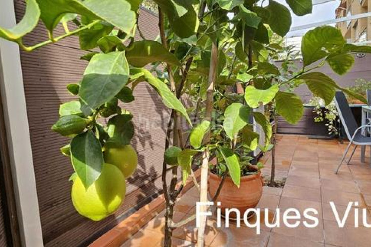 Piso  en planta baja totalmente actualizado 3 hb. con patio y parking en Terrassa