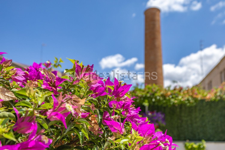 Piso en Barrio Centre