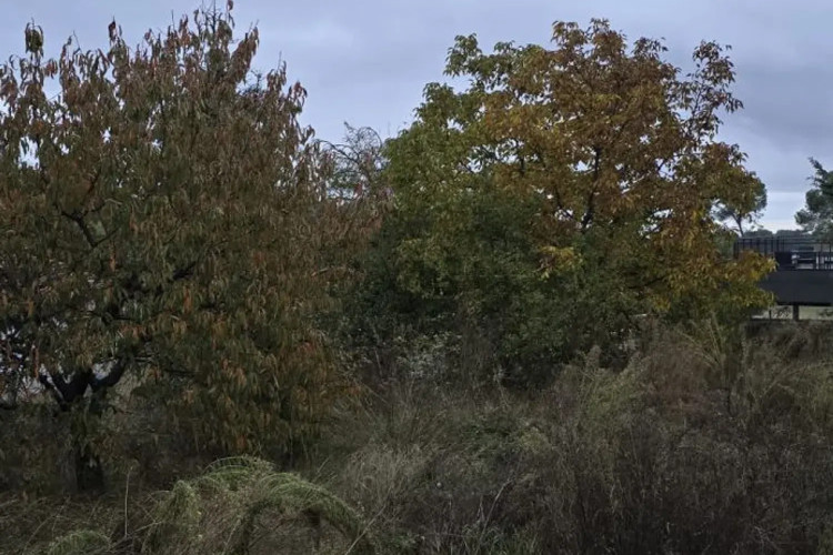 Chalet en paseo de Matadepera