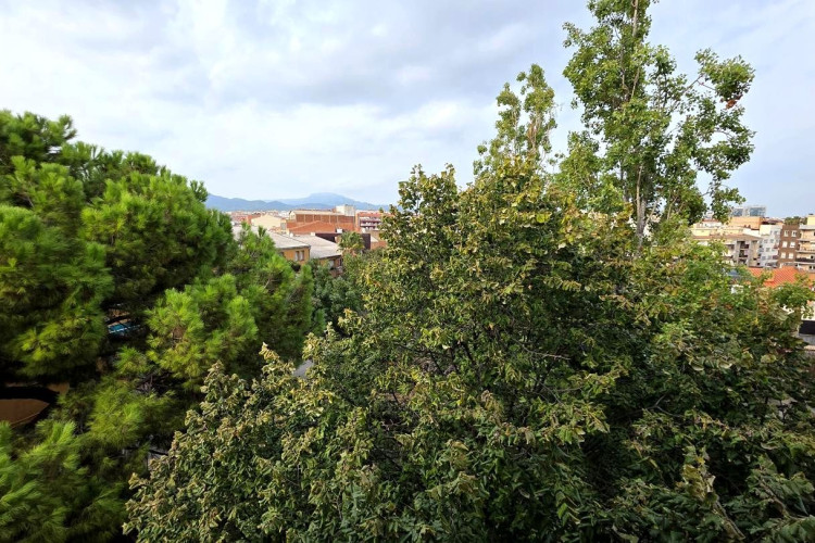 Carrer de Francesc Layret, La Cogullada