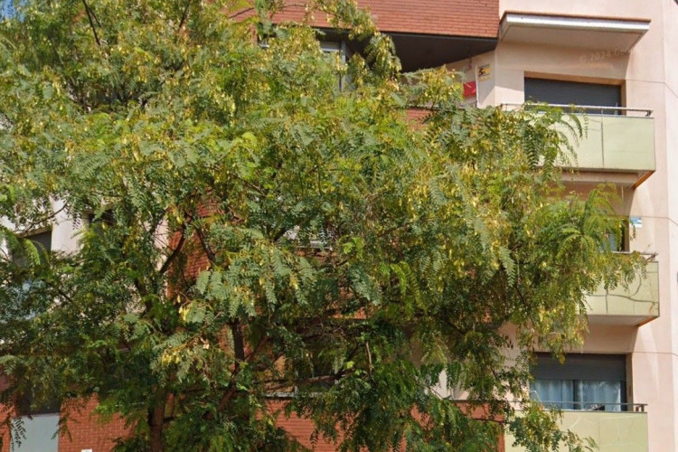 La Maurina