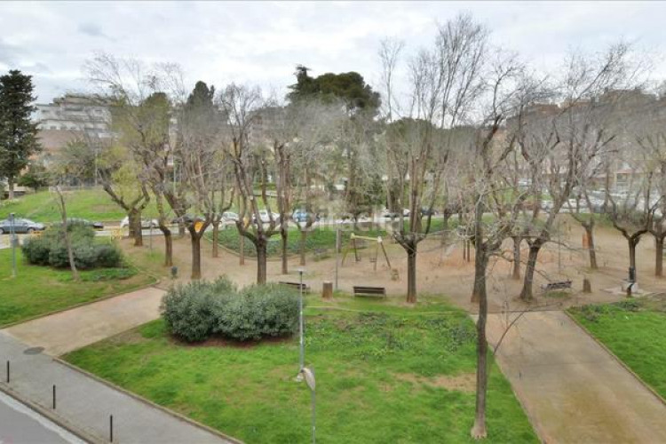Dúplex piso en calle mare de deu del pilar en Cementiri Vell Terrassa