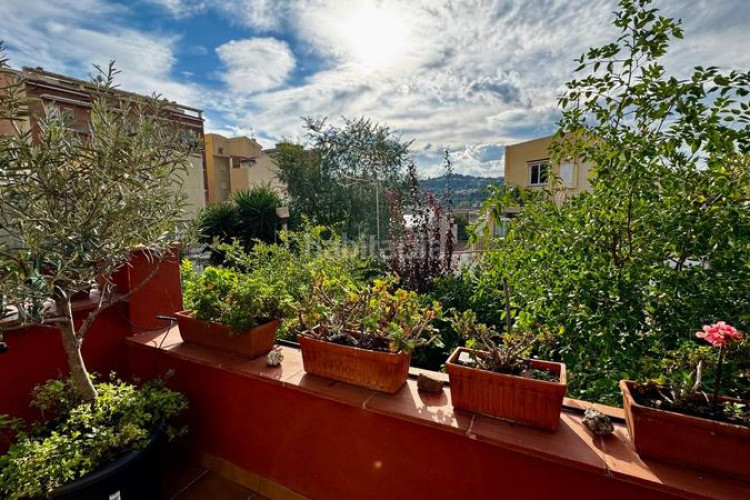 Casa en la selva 2 en Can Palet Terrassa