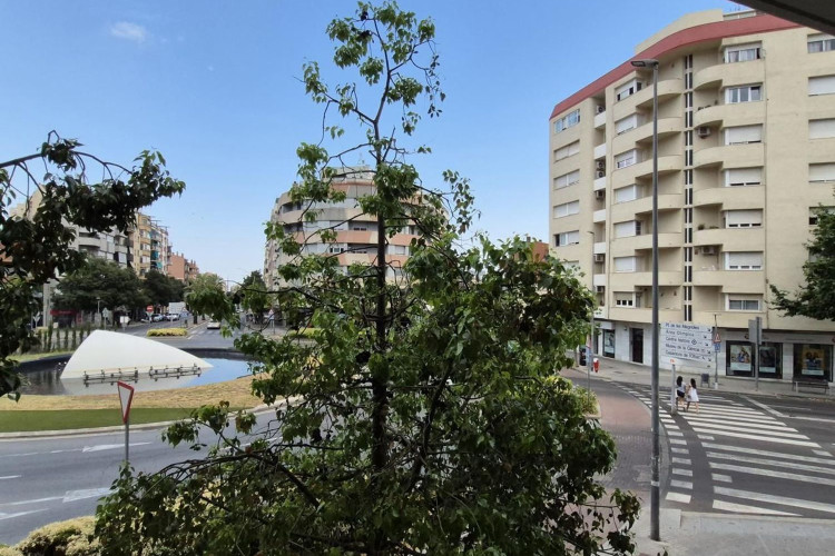Piso en venta en avenida de l'Abat Marcet