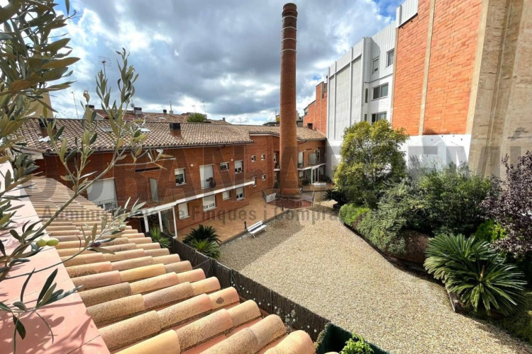 Societat, Barri del Centre
