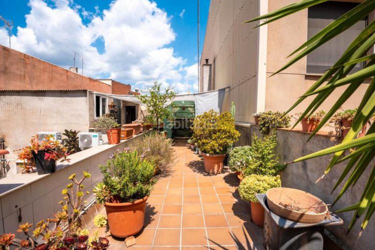 Casa adosada zona de torresana. casa adosada de 3habs. + 1lav. + patio + terraza en Terrassa