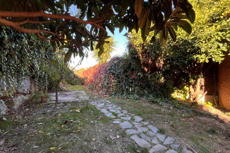 Calle Mussol, Can Palet de Vista Alegre