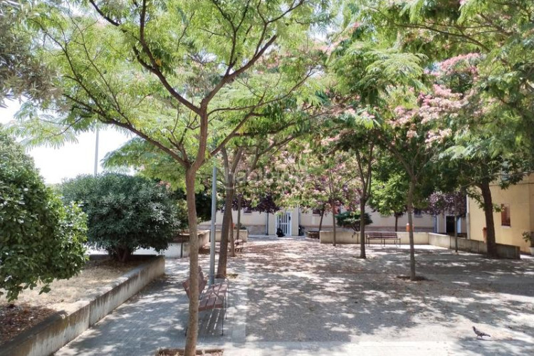 Piso  3 hab en venta, Sant Llorenç en Sant Llorenç Terrassa