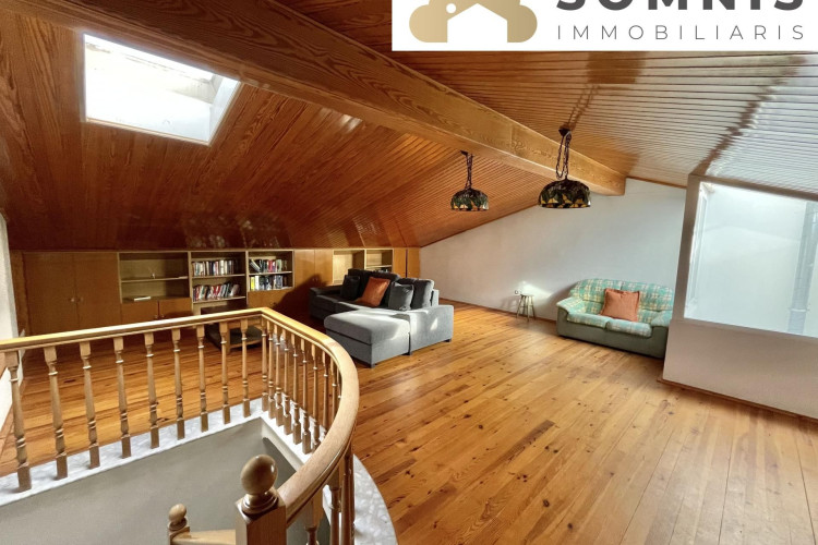 Les Arenes - La Gru00EDpia  Can Montllor