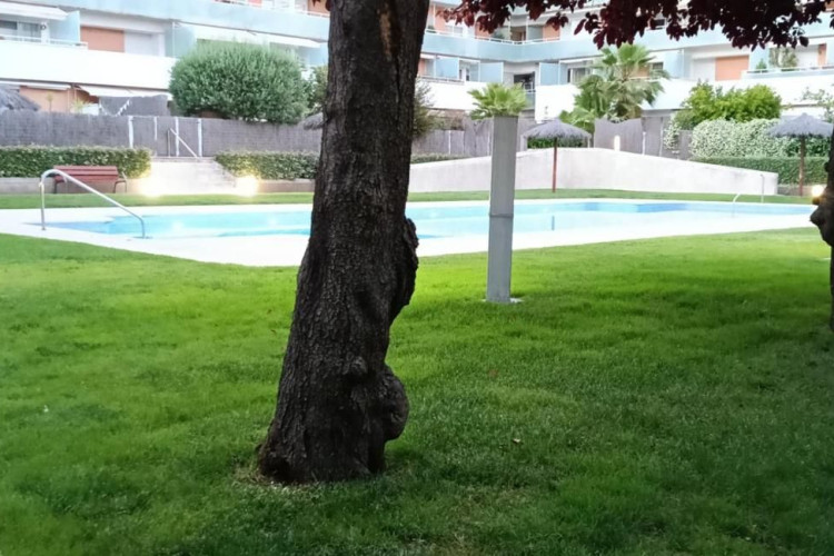 Carrer de Baldrich, Segle XX