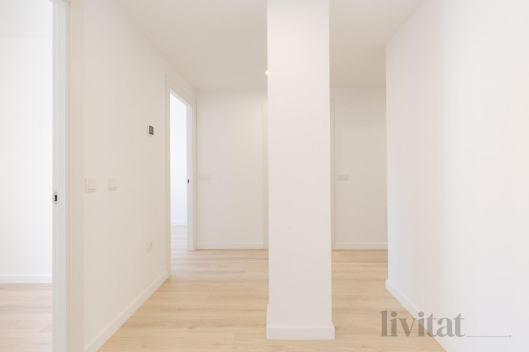 Calle Transversal, 181, Sant Pere