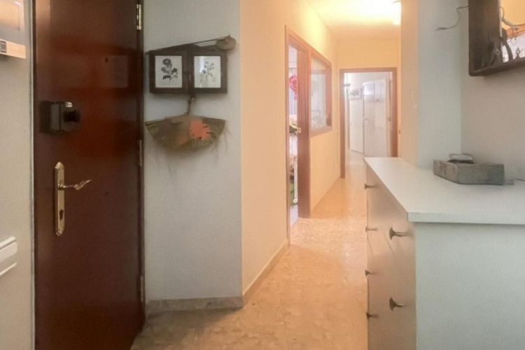 Plau00E7a del Mestre Serrat, Sant Pere