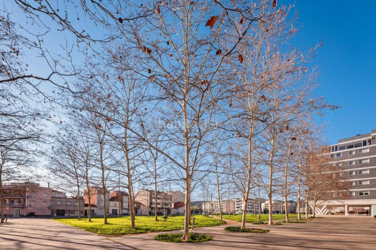 Piso en Zona Esportiva Terrassa