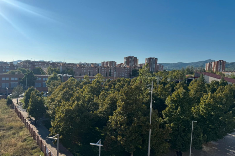 Carrer del Doctor Ferran, Sant Pere Nord