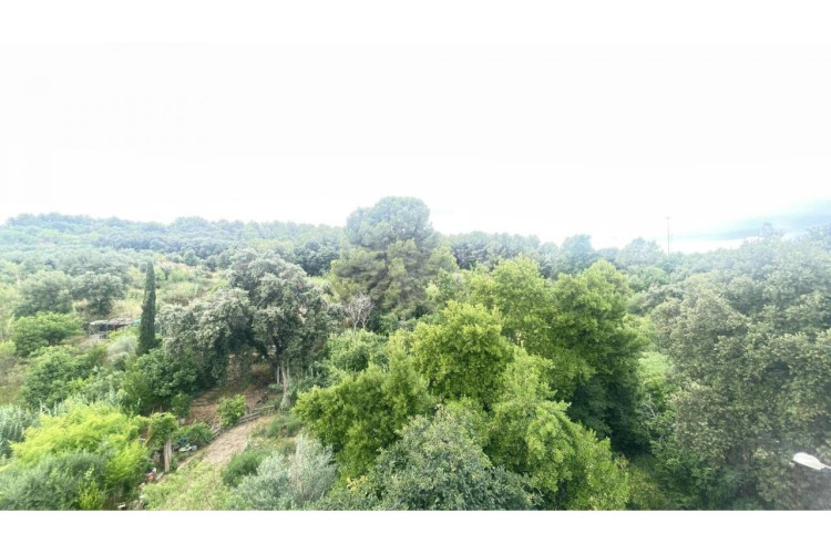 Carretera de Rellinars, Poble Nou