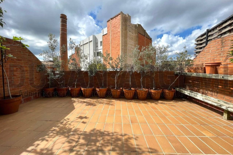 Societat, Barri del Centre