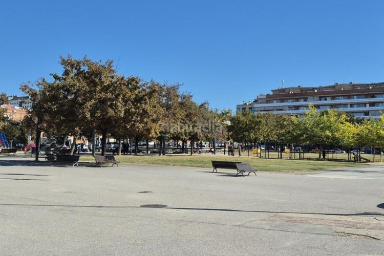 Estudio estudi seminou orientat a sud al costat del complex olímpic en Terrassa