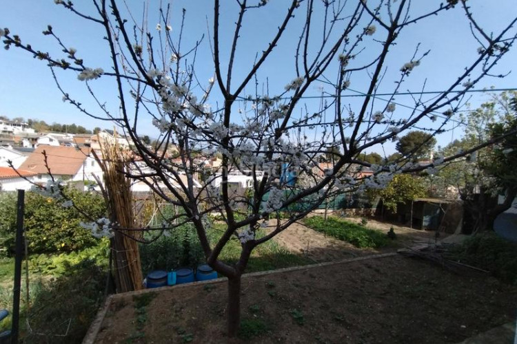Chalet en Can Parellada Terrassa
