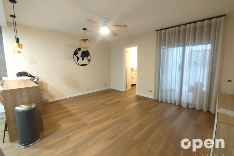 Seu d'Urgell, Sant Pere Nord