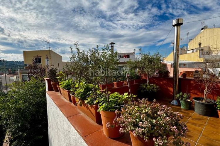 Casa en la selva 2 en Can Palet Terrassa