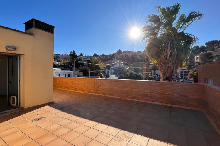 Calle Mussol, Can Palet de Vista Alegre