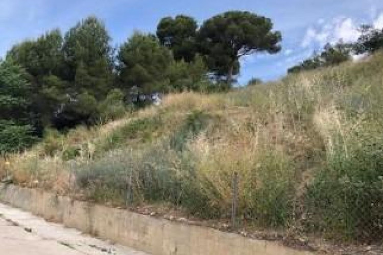 Terrassa - Carrer PARIS, Les Fonts