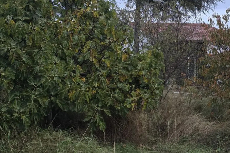 Chalet en paseo de Matadepera