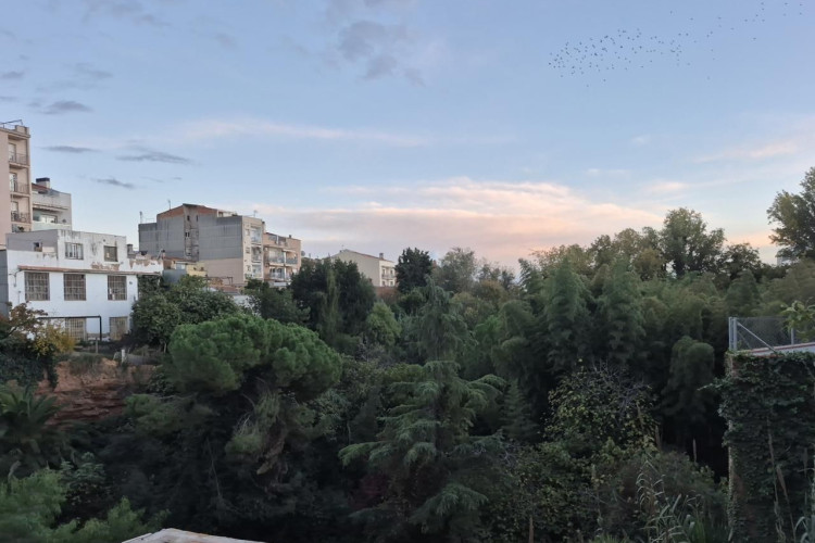 Carrer d'Emili Badiella, Sant Pere