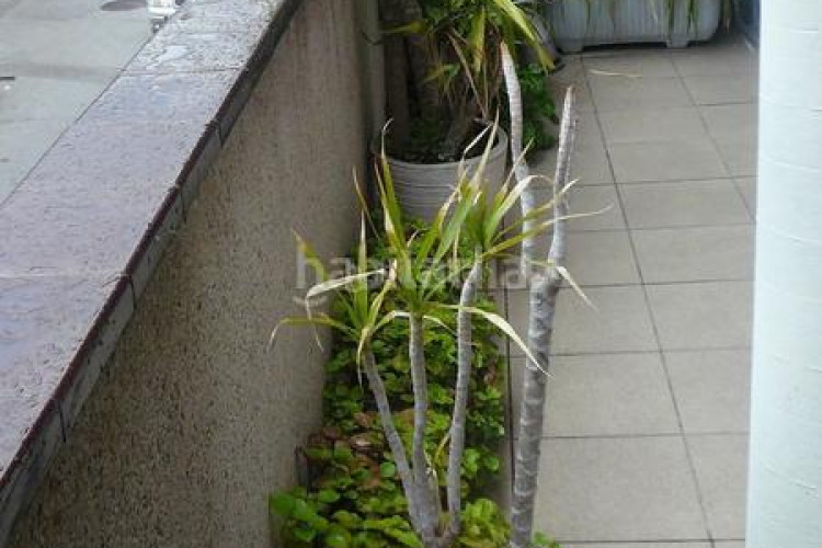 Casa gran casa cantonera en Ca n'Aurell Terrassa