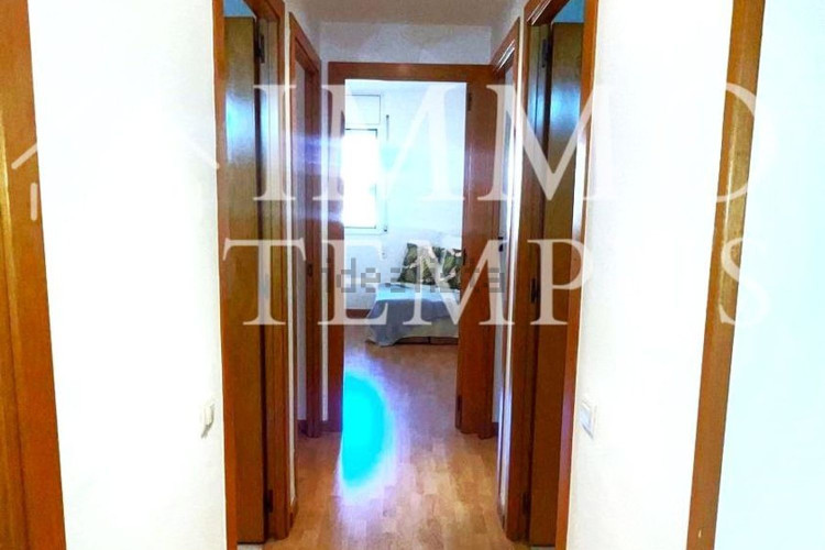 Piso en calle Doctor Calsina s/n