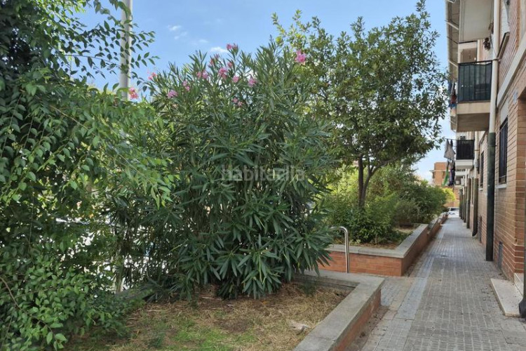 Planta baja  reformada totalmente de 3 hab en Terrassa