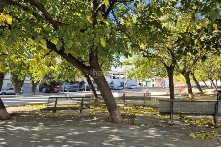 Casa local esquinero de 95 m2 edificable bajos más 3 pisos en Terrassa