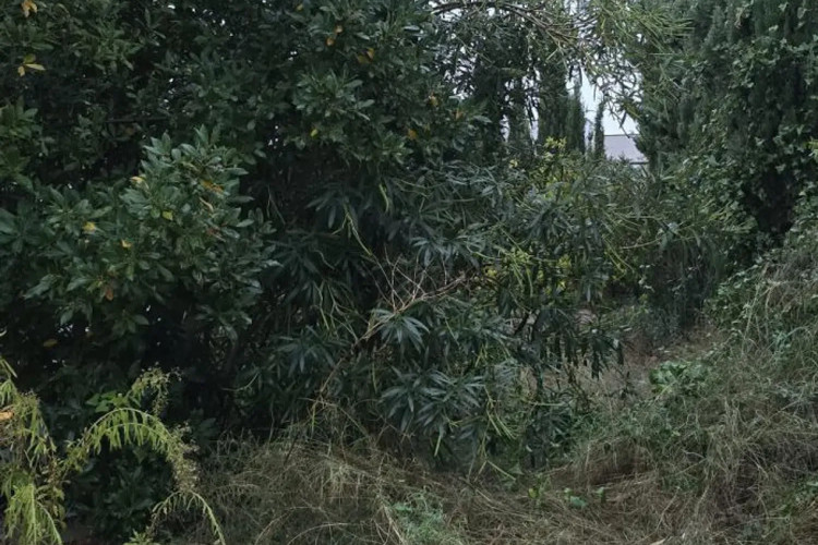 Chalet en paseo de Matadepera