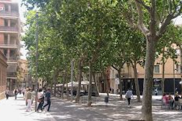 Carrer de Ciutadella, Egara