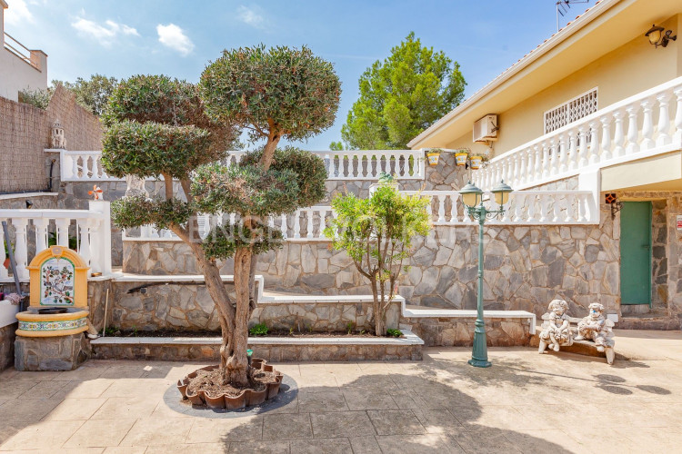 Can Palet de Vista Alegre