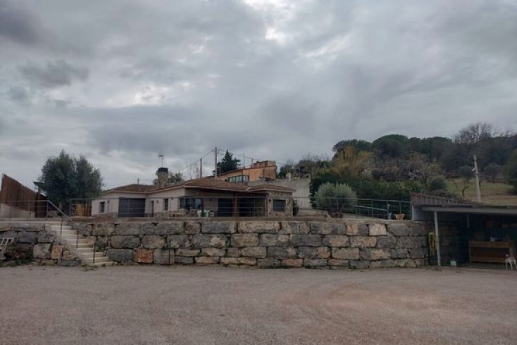 Carrer de la Daina, Les Martines