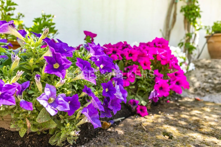 Piso en Barrio Centre