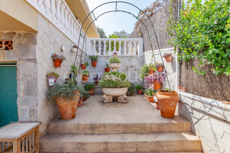 Can Palet de Vista Alegre