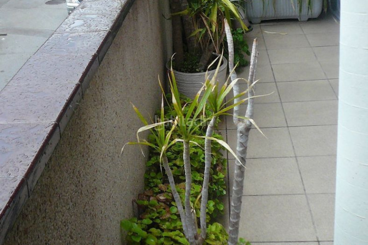 Infant Marti, Ca n'Aurell