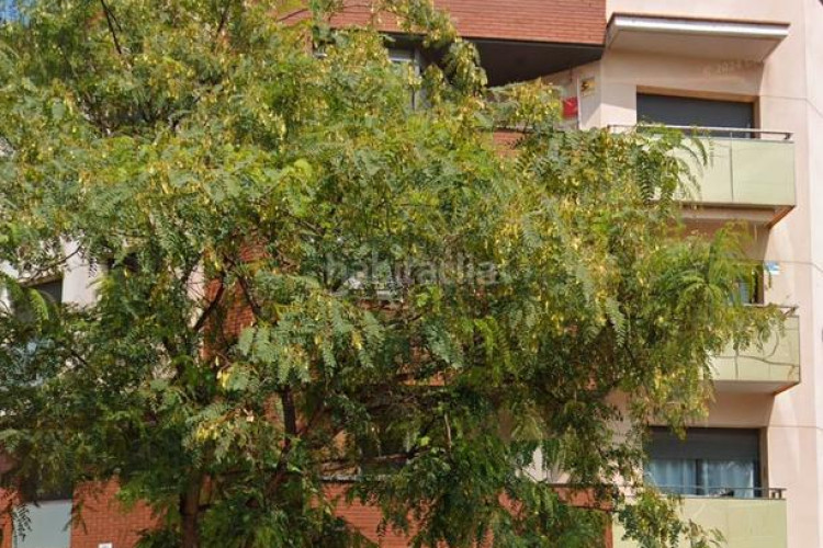 Piso en venta piso seminuevo 1 hab en ca n'aurell en Terrassa